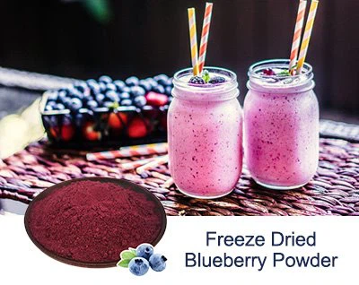 freeze dried blueberry Powder (1).jpg