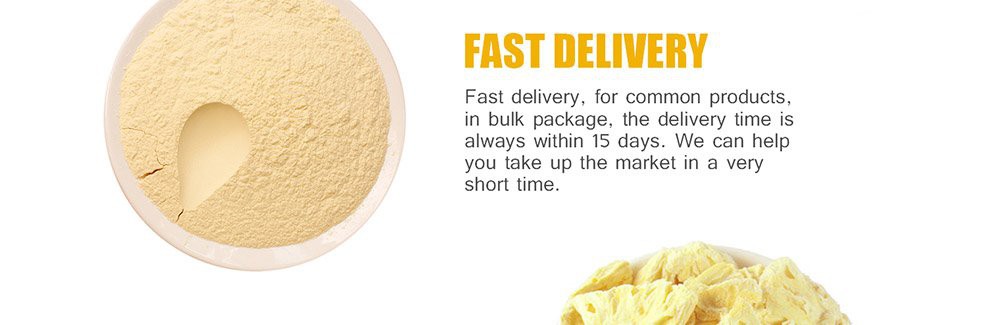 Freeze-Dried-Pineapple-(2)_03