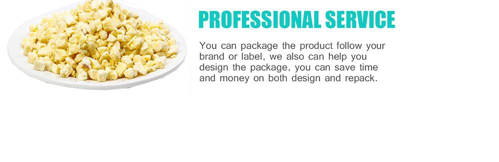 Freeze-Dried-Pineapple-(2)_05