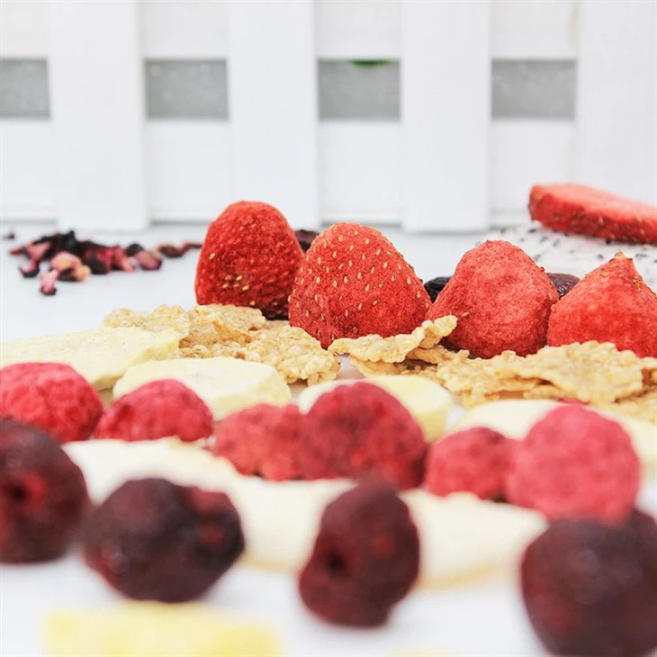 Crunchies Freeze Dried Fruit