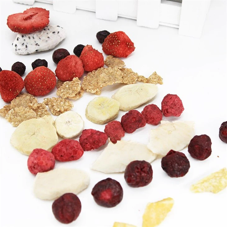 Freeze Dried Fruit Chips