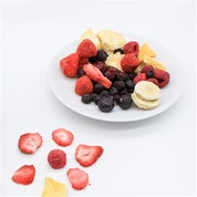 Dried Fruit Snacks