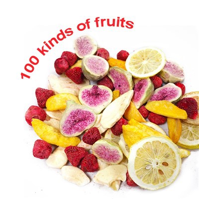 Dried Fruit Chips