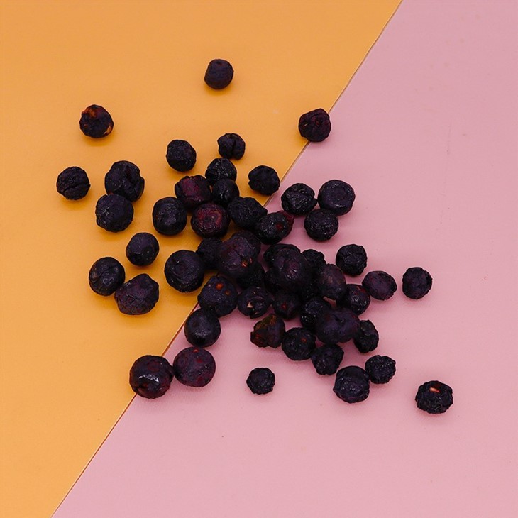 Dry Frozen Blueberries