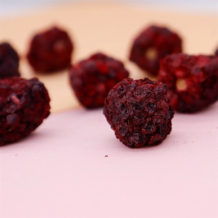 Freeze Dried Blackberry best