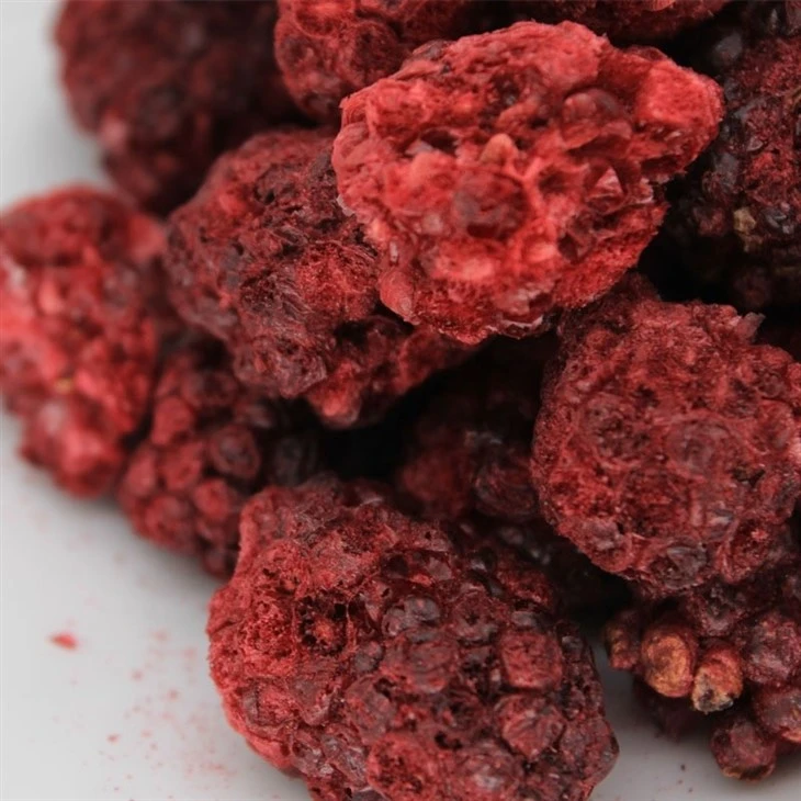 Freeze Dried Blackberry high quality