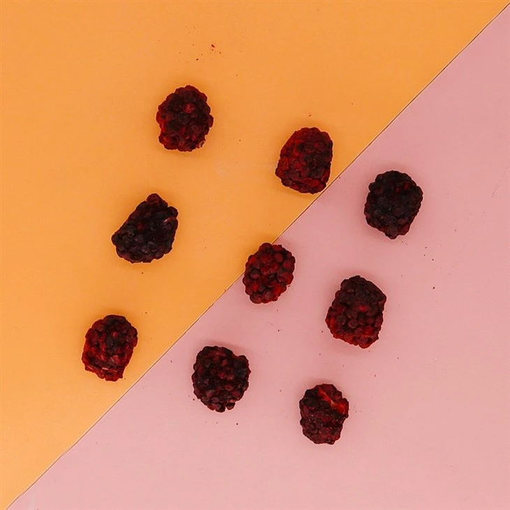 Freeze Dried Blackberry factory