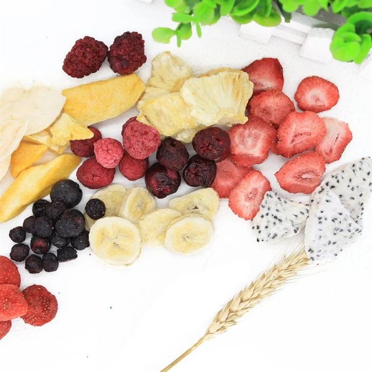 Freeze Dried Fruit Crisps Bulk