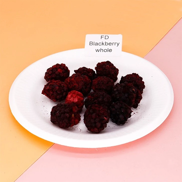 Freeze Dried Honey Berries factory