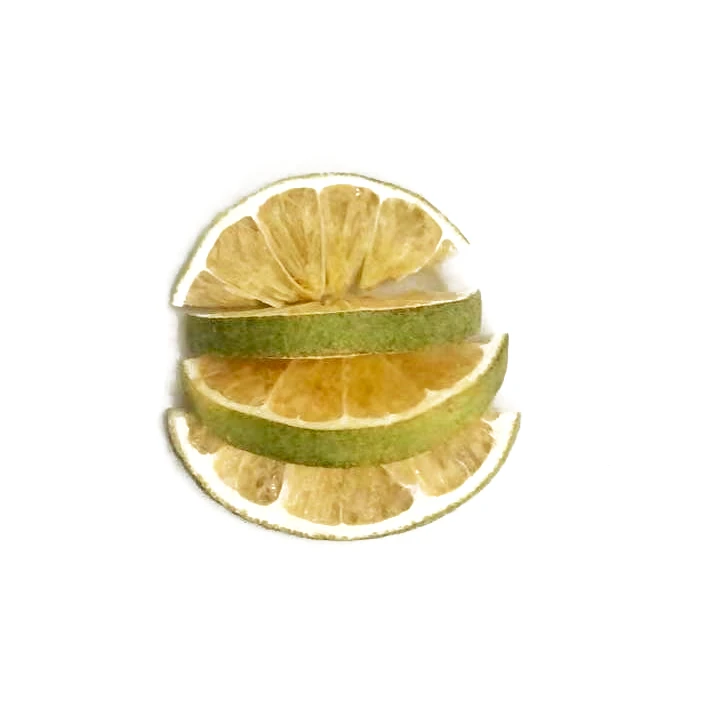 Freeze Dried Lime Slices suppliers
