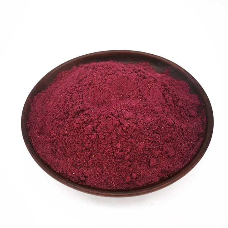 Freeze Dried Powdered Blueberries factory