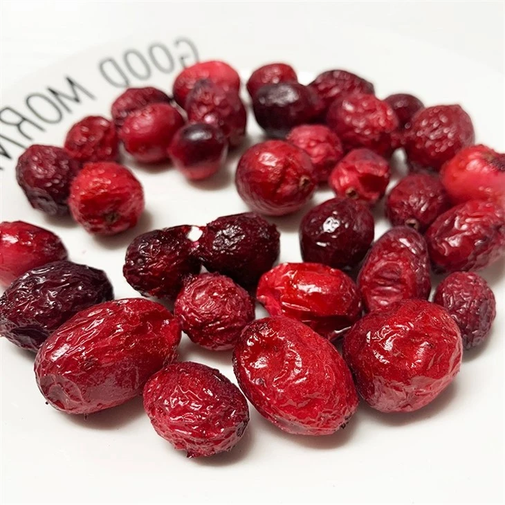Freeze Drying Cranberries suppliers