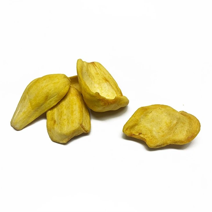 Fried Jackfruit Chips suppliers