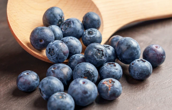 fresh blueberries fresh blueberries