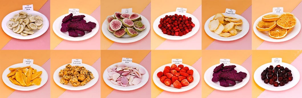 freeze-dried-fruit00